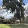 Poda Y Tala De árboles