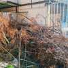 Pequeños Trabajos Jardinería