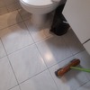 Remodelar Baño