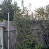 Mallas de Protección