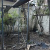Poda Y Tala De árboles