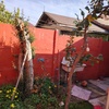 Construir Pared