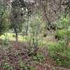 Retiro de Escombros