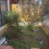 Mantener Jardín