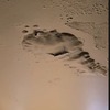 Pintar Departamento