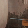 Pequeños Trabajos Pintores