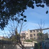 Demoler Casa