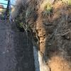 Construir Pared