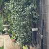 Construir Pared