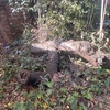 Retiro de Escombros