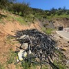 Limpieza Local Comercial O Industrial