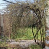 Mantener Jardín