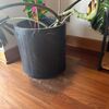 Mantención Piso De Madera