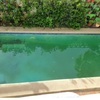 Trabajos Mantención Piscina