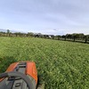 Pasto Natural
