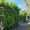 Mantener Jardín