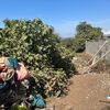 Mantener Jardín