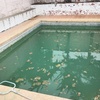 Trabajos Mantención Piscina