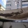 Reparar Toldo