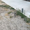 Construir Quincho o Pérgola