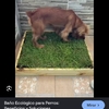 Pequeños Trabajos Carpinteros