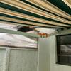 Reparar Toldo