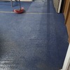 Limpieza de Tapices o Alfombras
