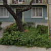Mantener Jardín