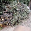 Retiro de Escombros