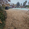 Pasto Sintético