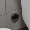 Otros Trabajos Gasfitería