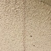 Pintar Exterior Casa 