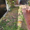 Pequeños Trabajos Jardinería