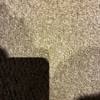Colocar Alfombra