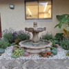 Plantar Jardín