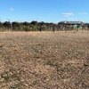 Movimiento de Tierras