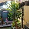 Hacer Estructura Metálica para Casa