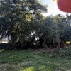 Nivelar Terreno