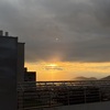 Pasto Sintético