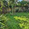 Pasto Natural