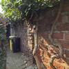 Construir Pared