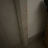 Pequeños Trabajos Carpinteros