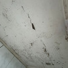 Pintar Interior Casa