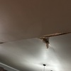 Reparar Cielo Americano
