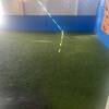 Pasto Sintético