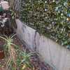 Construir Pared