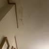 Pintar Interior Casa
