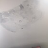 Reparar Techo