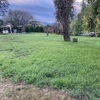 Mantener Jardín