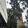 Poda Y Tala De árboles